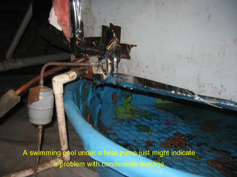 Freedom Home Inspection moisture detection photo 27
