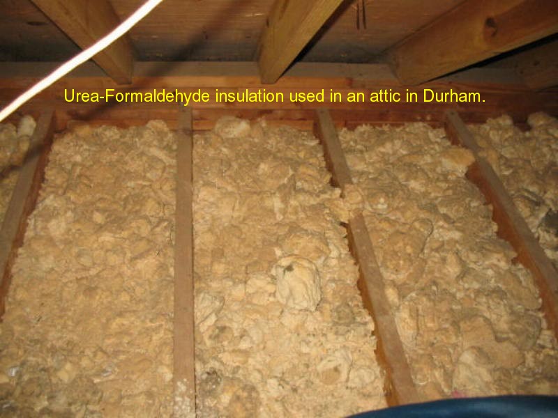 Freedom Home Inspection septic inspection photo 31