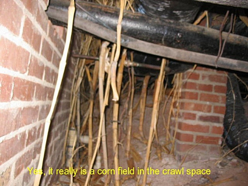 Freedom Home Inspection home inspection photo 4